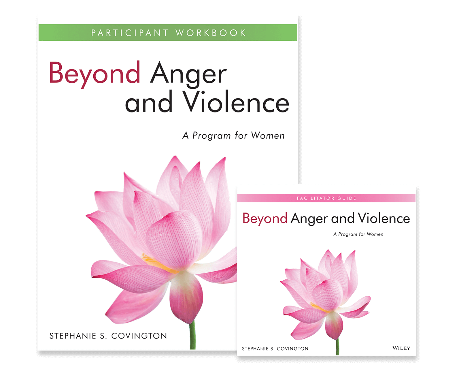 Beyond Anger and Violence: A Program for Women